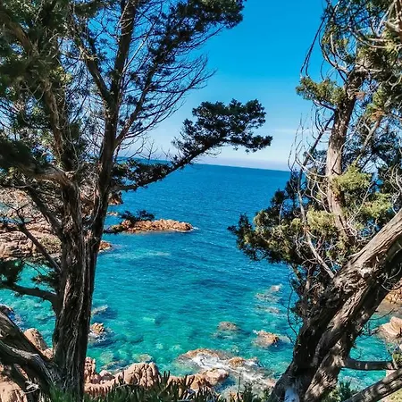 - Ocean Front Nella With Seaview And Private Whirlpool Apartment Costa Paradiso